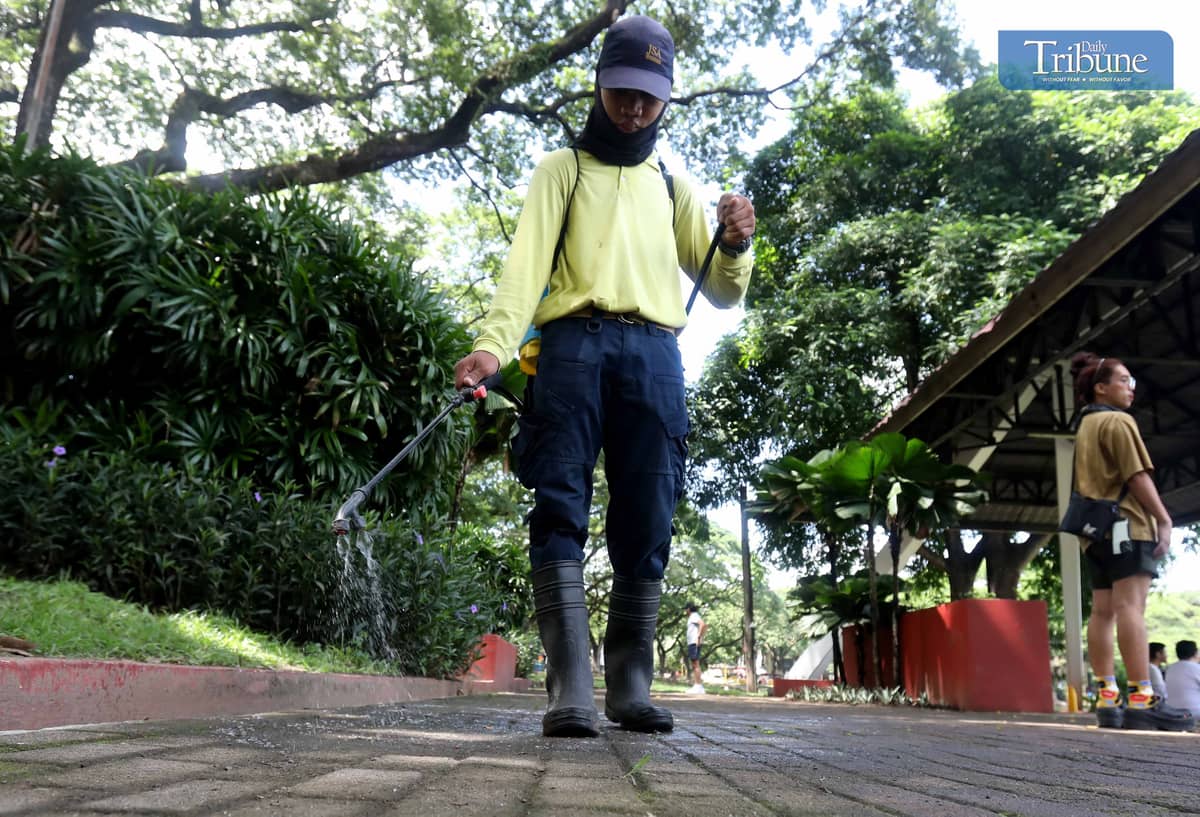 ANALY LABOR